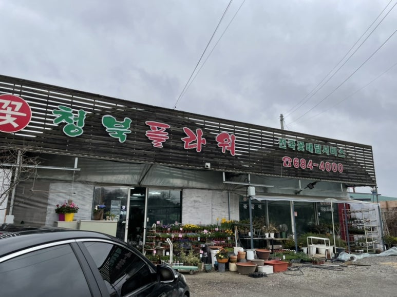 기버플라워 이미지