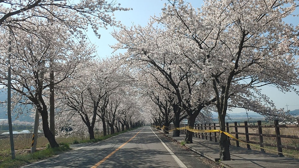주산주유소 이미지