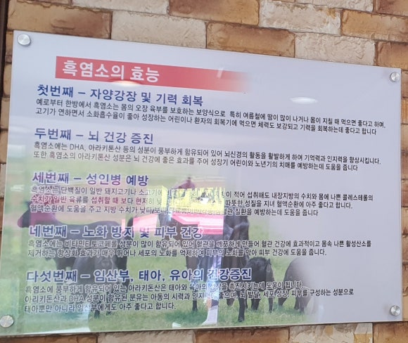 큰손생오리흑염소 이미지
