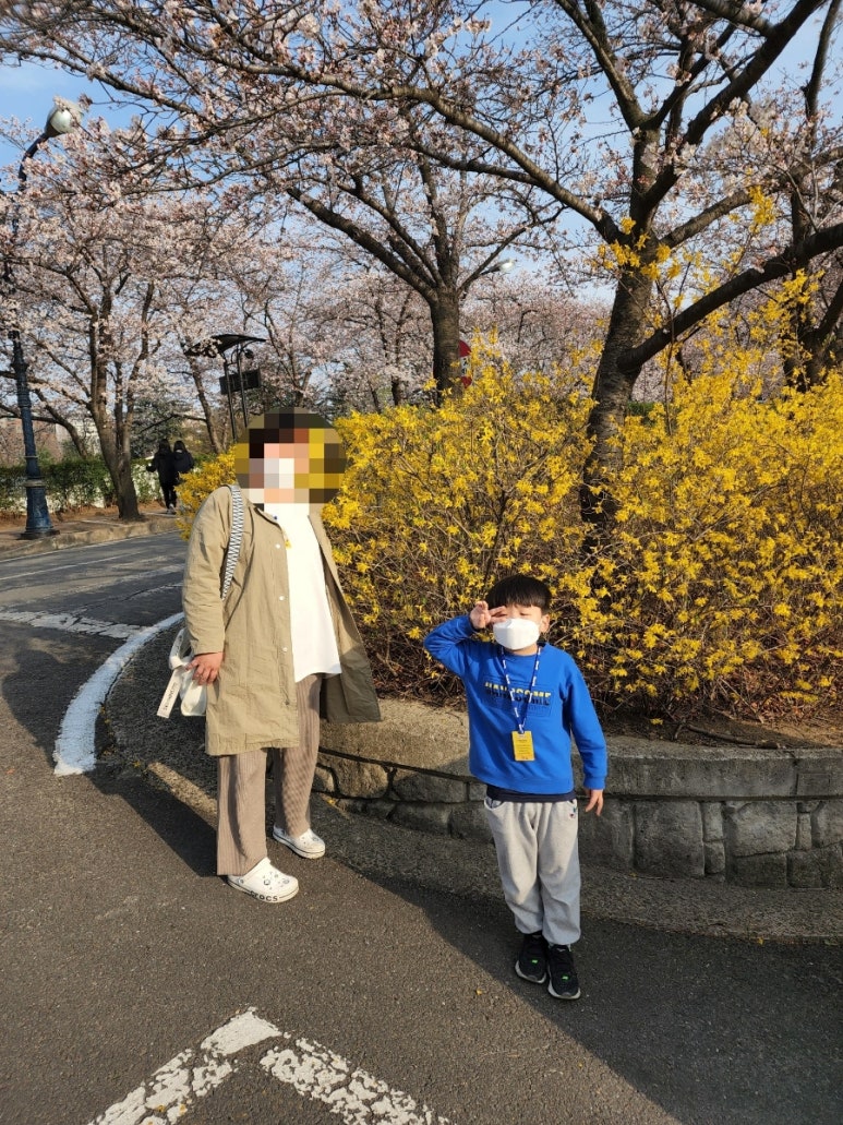 개나리식자재마트 이미지
