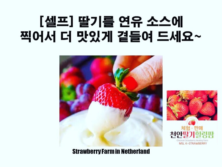 더힐링팜 이미지