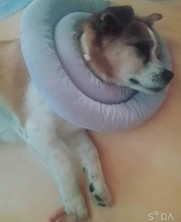 개스타그램 이미지