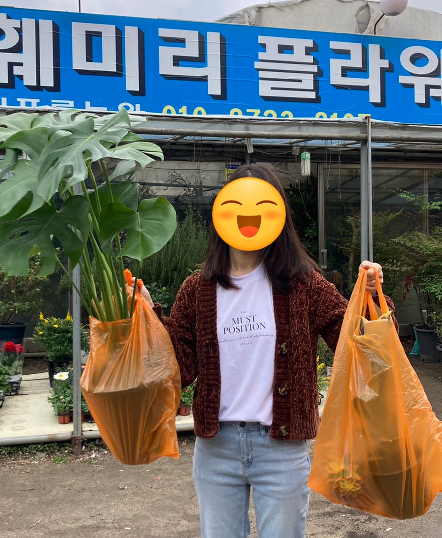 훼미리플라워 이미지
