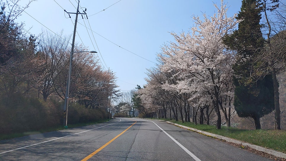 주산주유소 이미지
