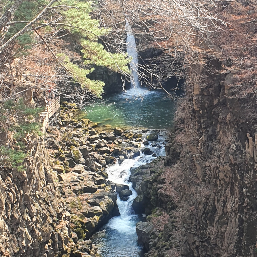 지장산막국수 이미지