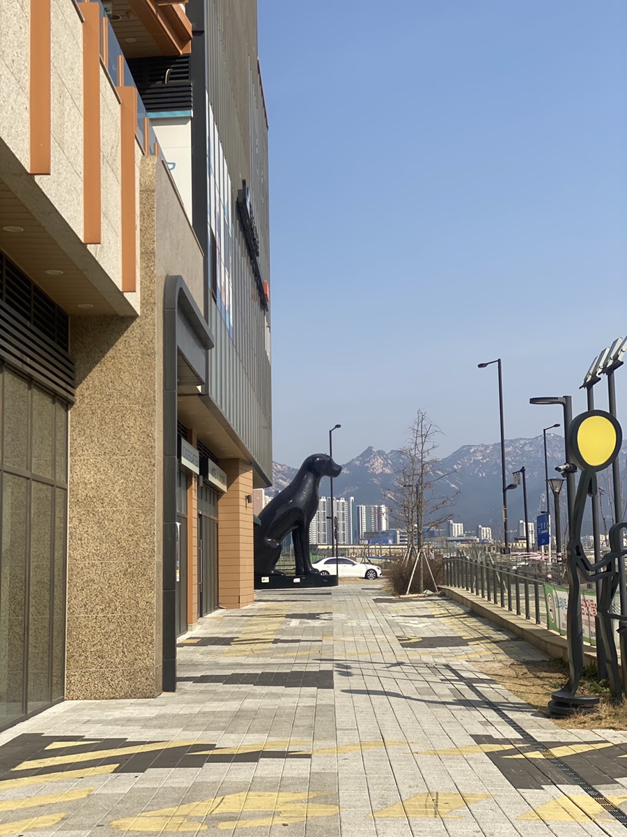 독스힐 이미지