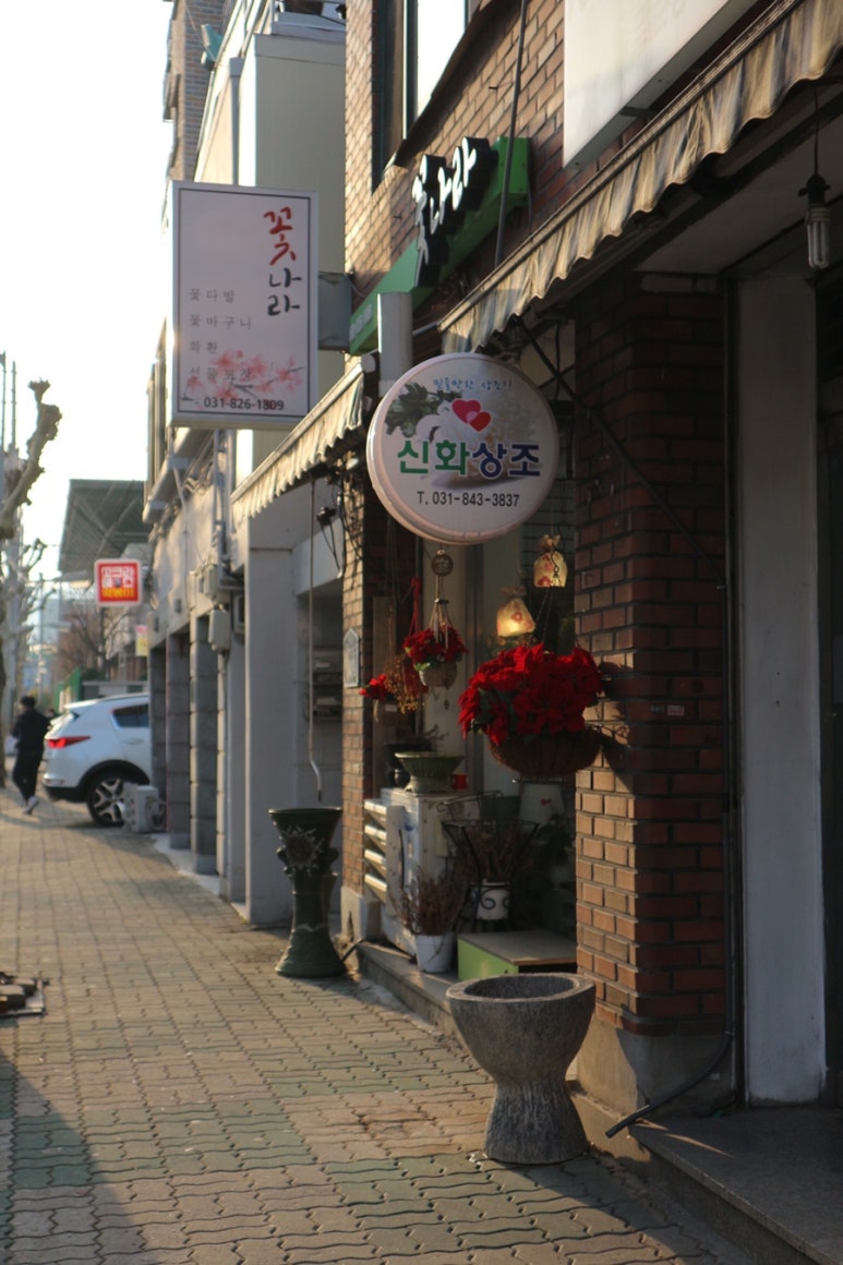 예쁜꽃나라 이미지