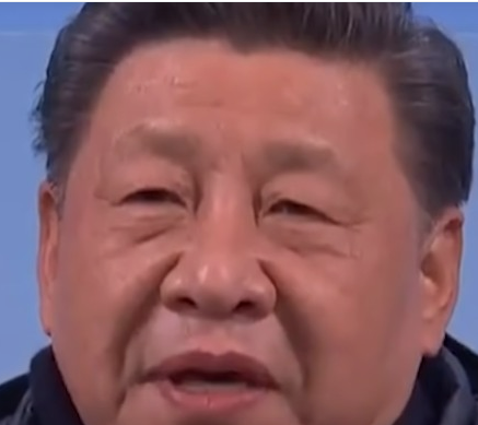 세라핑 이미지
