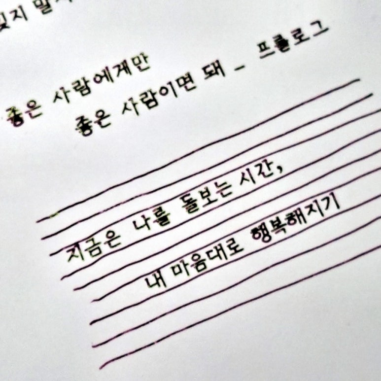 꽃쌤미꽃 이미지