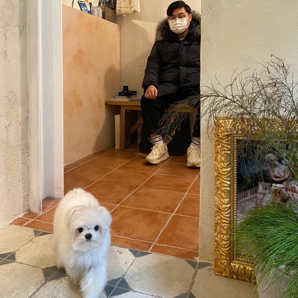 웬디스보틀 이미지