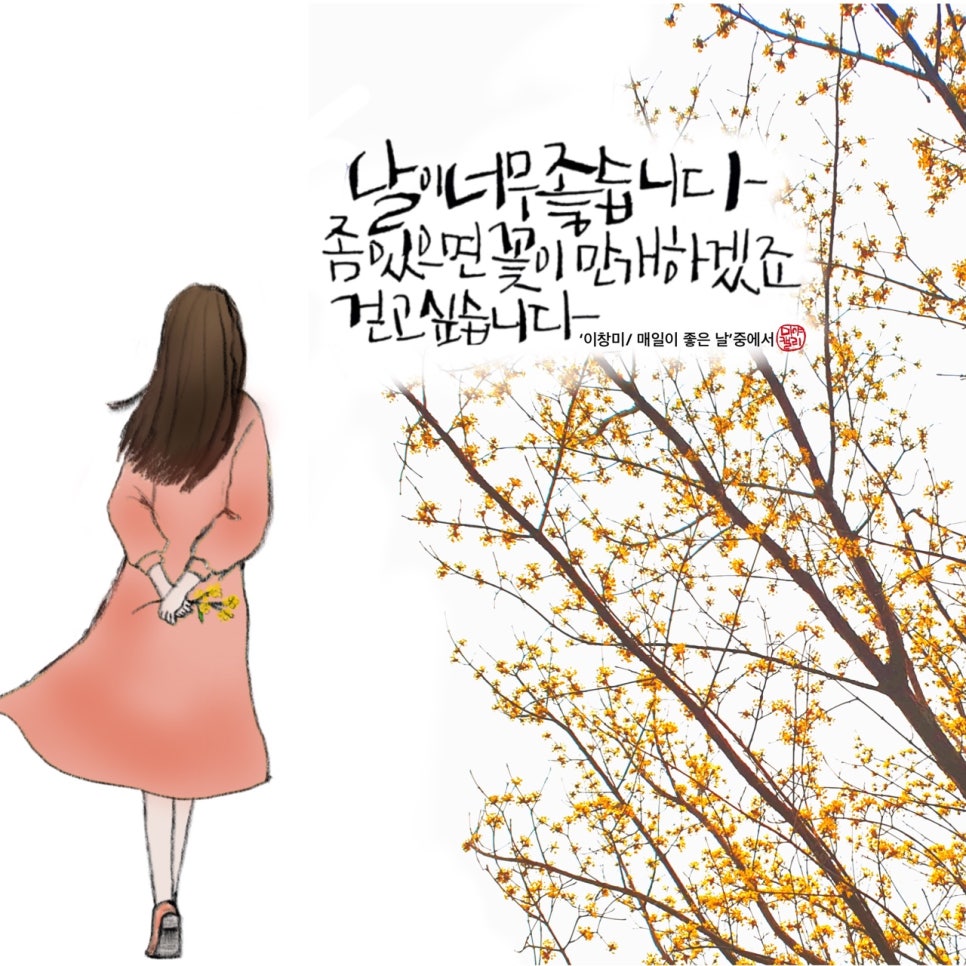 매일좋은날 이미지