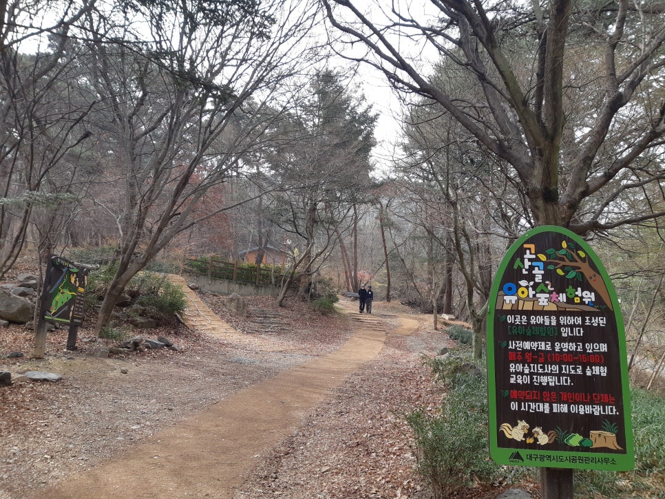 앞산고산골 유아숲체험원 이미지