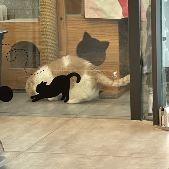 미르세탁소 이미지