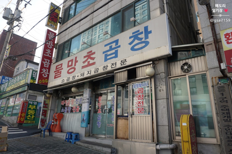 물망초곱창 이미지