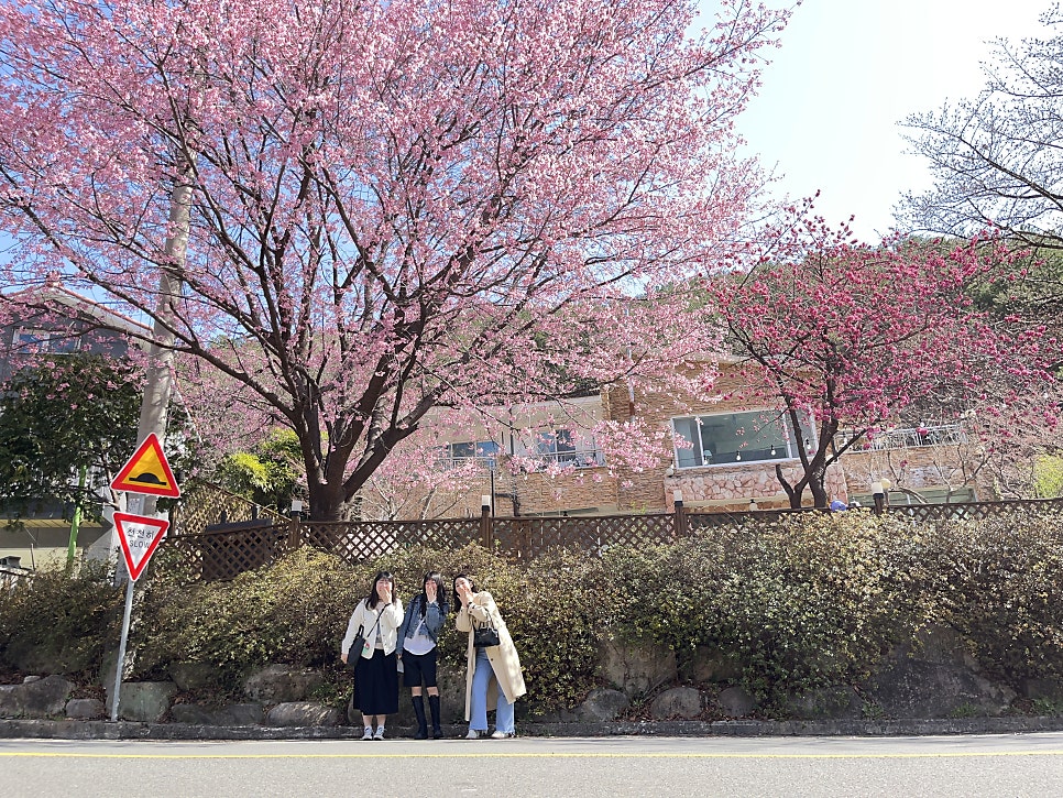 명성종가집 이미지
