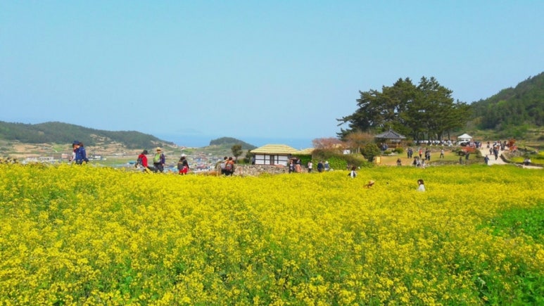 청산 농업협동조합 이미지