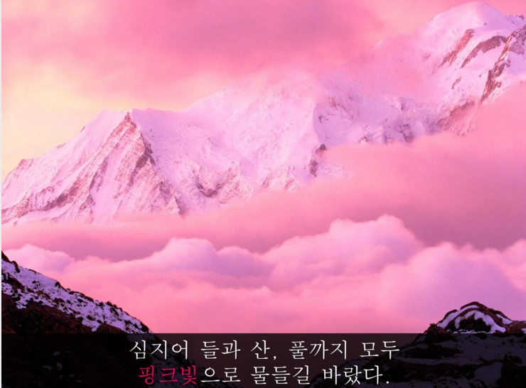 핑크프레임 이미지