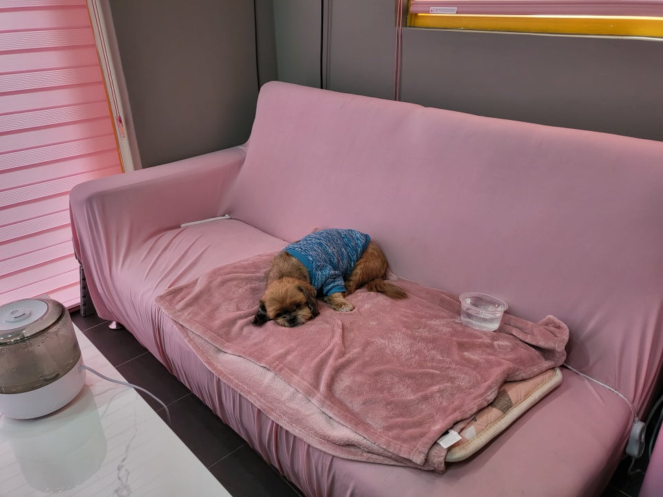 잇다붙임머리 이미지