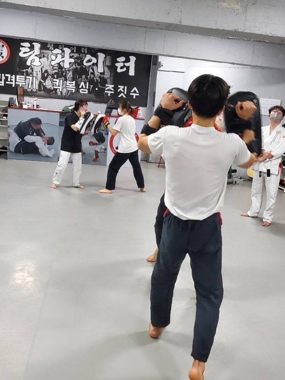 현진미트 이미지