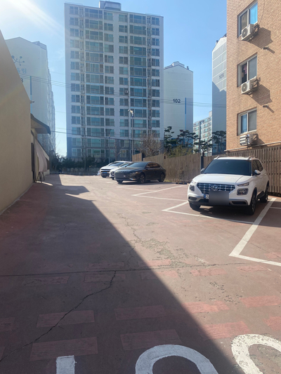 고목림 이미지
