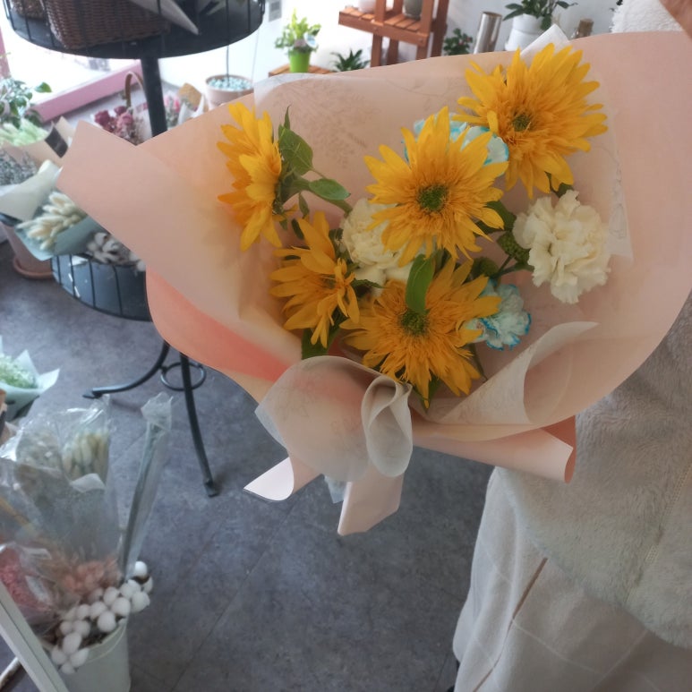 엘라임 이미지