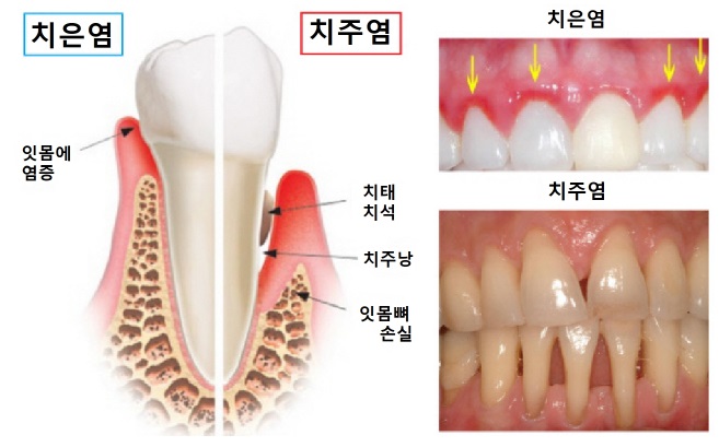 예스치과의원 이미지