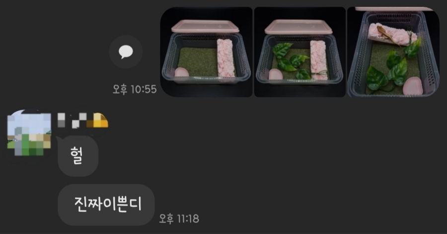 한국이색반려동물박람회 이미지