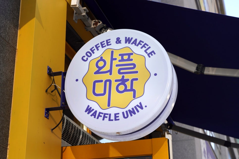 와플대학세종보람캠퍼스 이미지