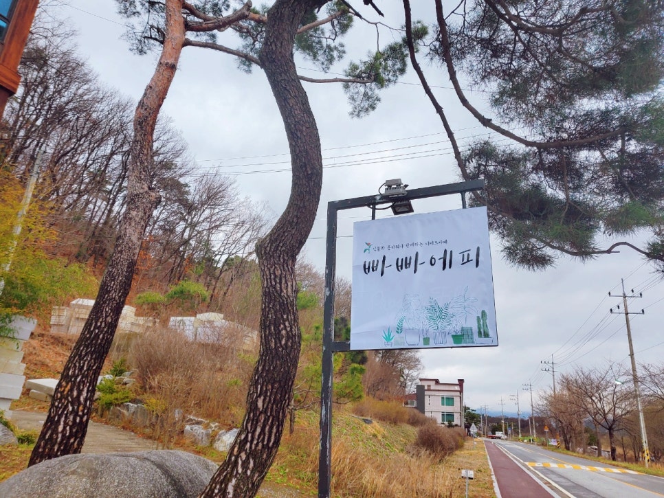 빠빠에피 이미지