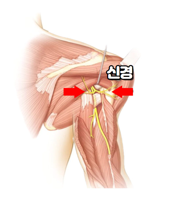 해늘한의원 이미지