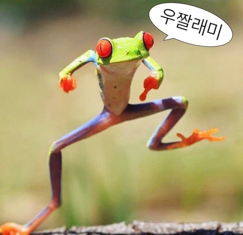 세마이 이미지