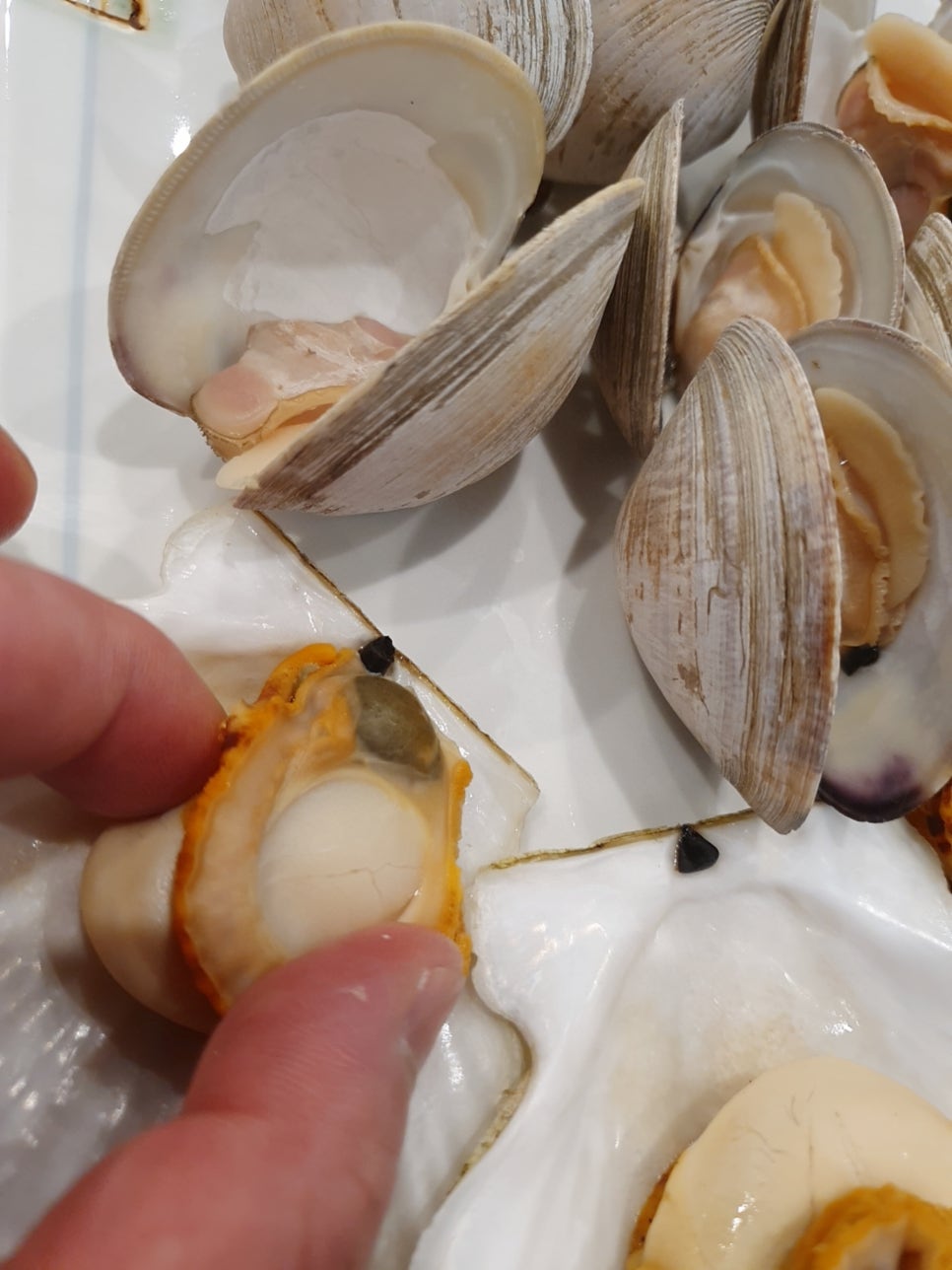 승화네 크랩보트 델피노점 이미지