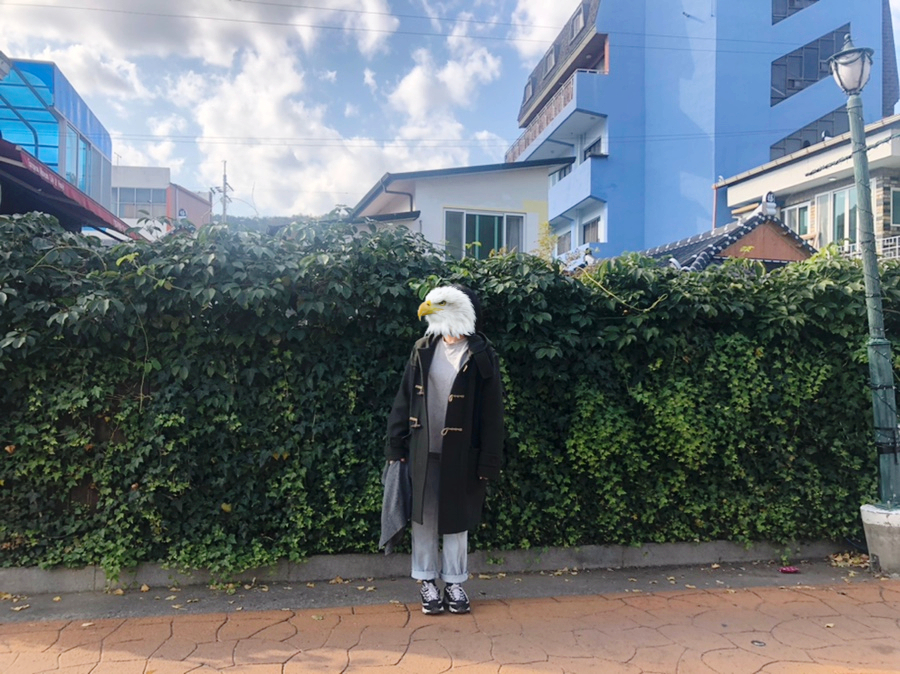 까끄레뽀끄레 이미지
