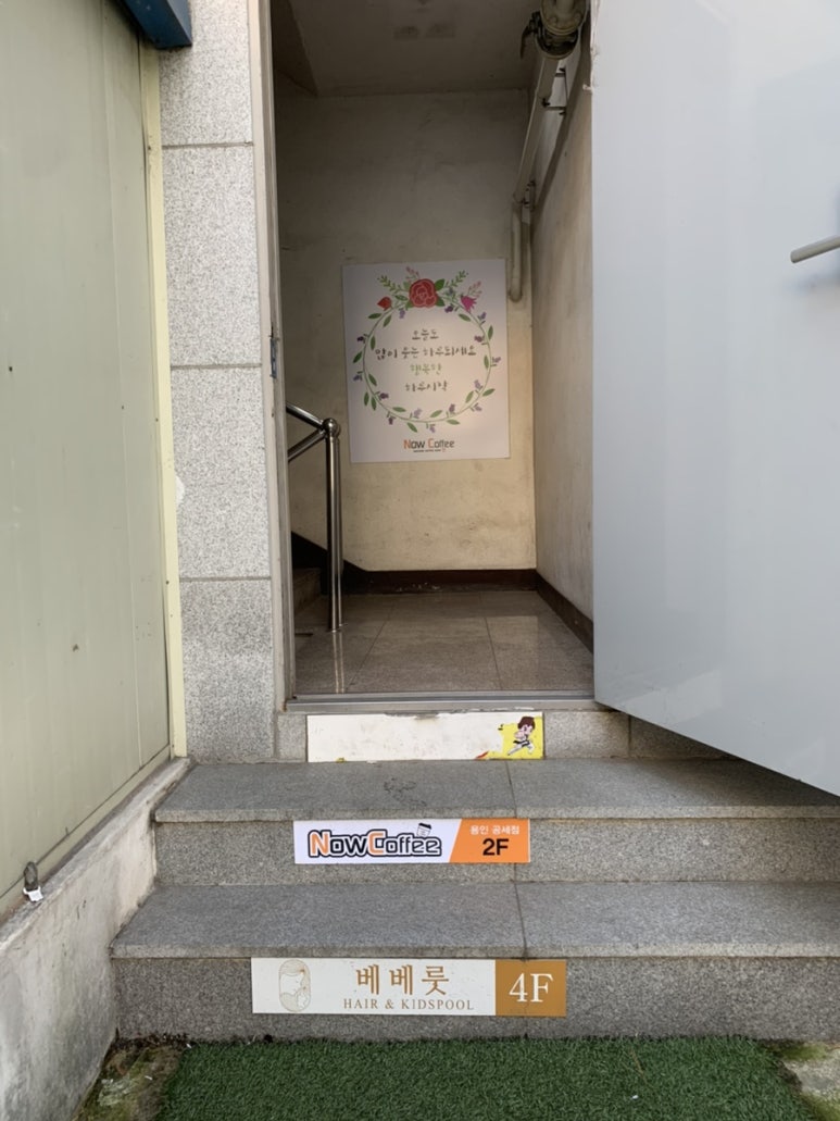 베베룻 이미지