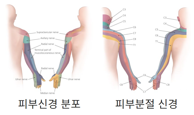 해늘한의원 이미지