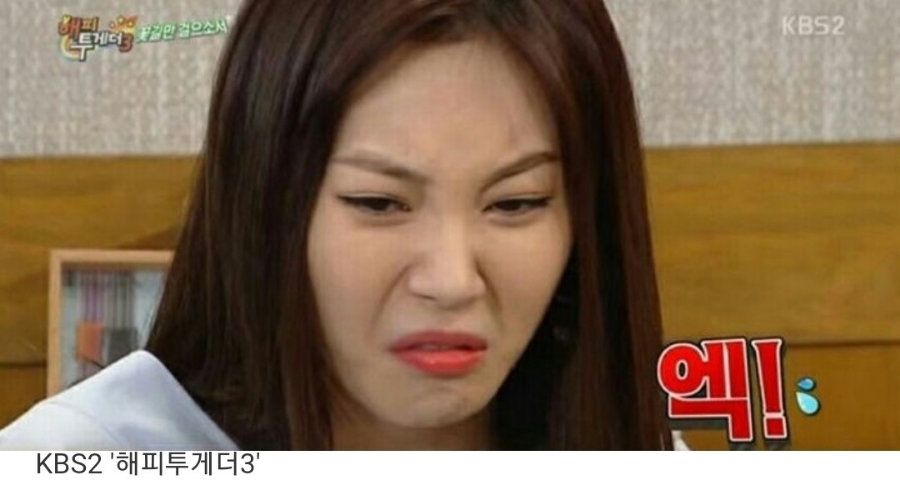 버디안 이미지