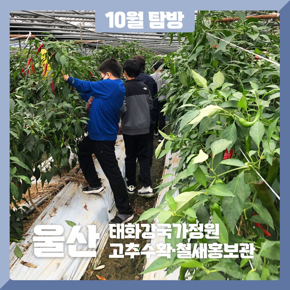 (주)초록배낭 이미지