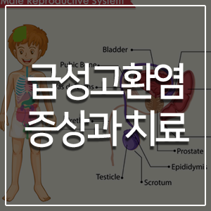 돌봄 요양보호사교육원 이미지