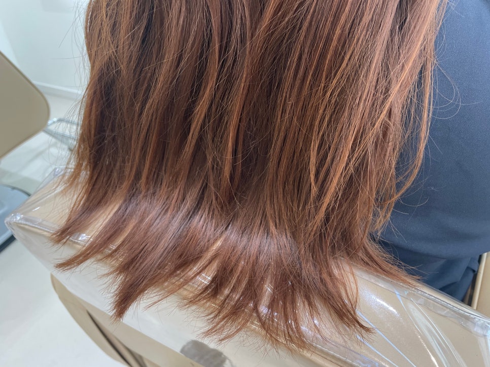 건니크 이미지