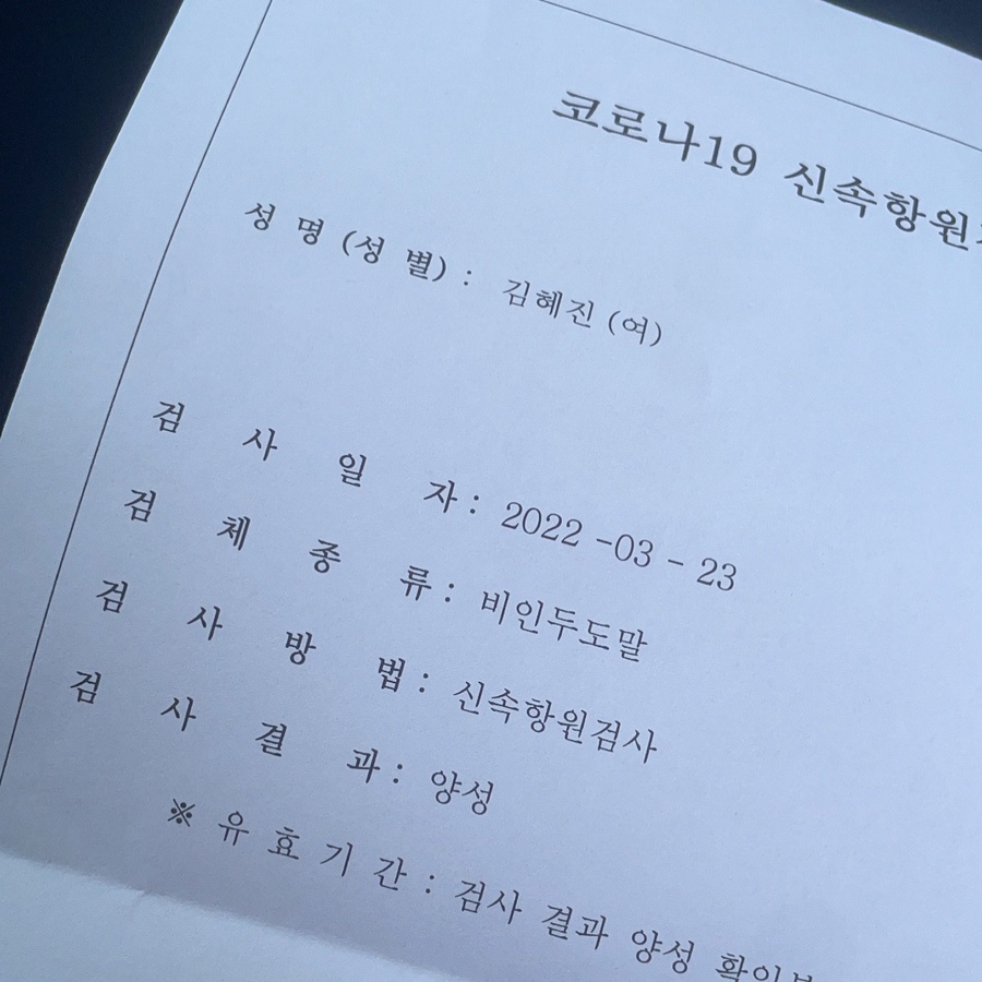 파트라슈 이미지