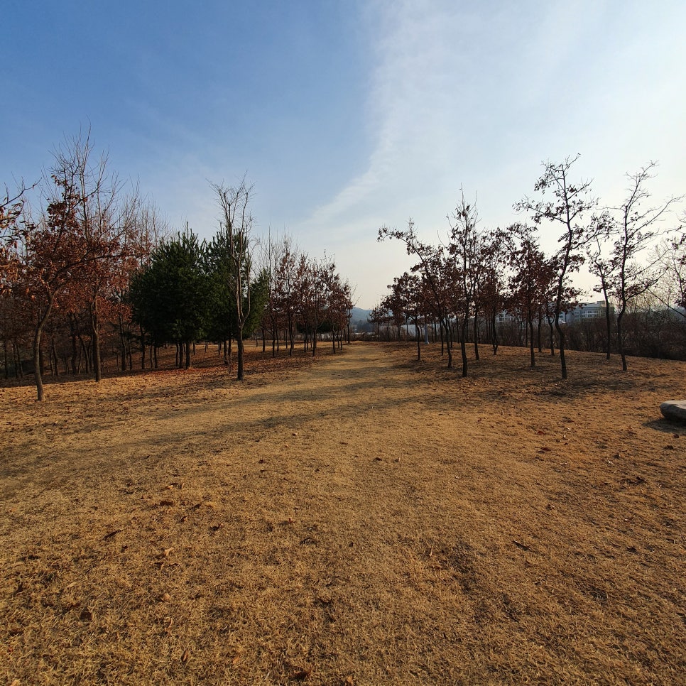 송인정보 이미지