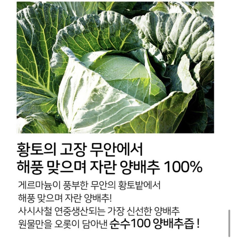 순수파머스 이미지