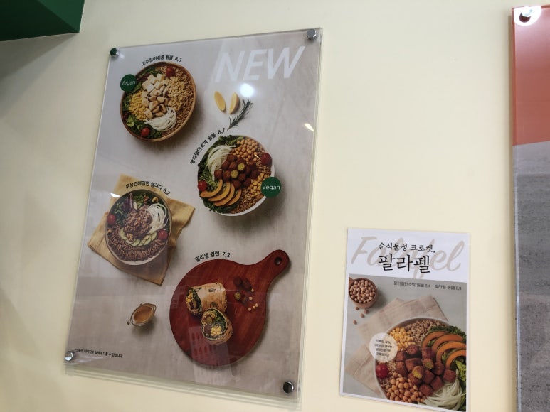 샐러디미아 이미지