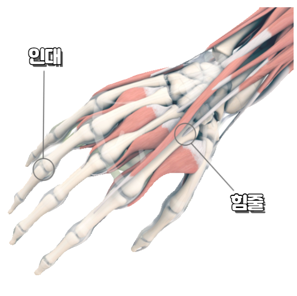 해늘한의원 이미지