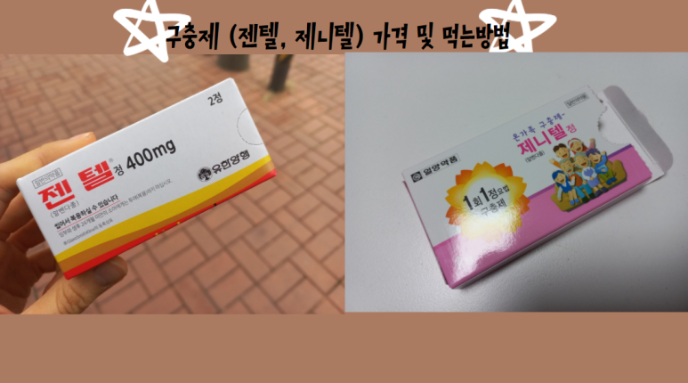 제니텔 이미지