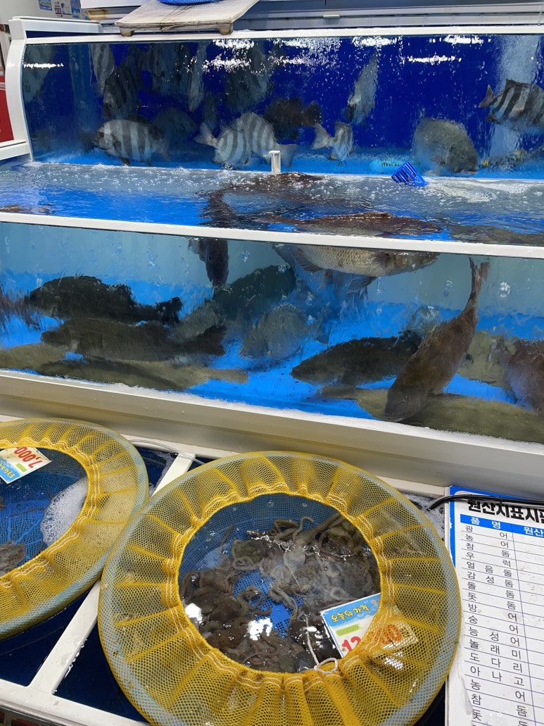 섬마을수산 이미지