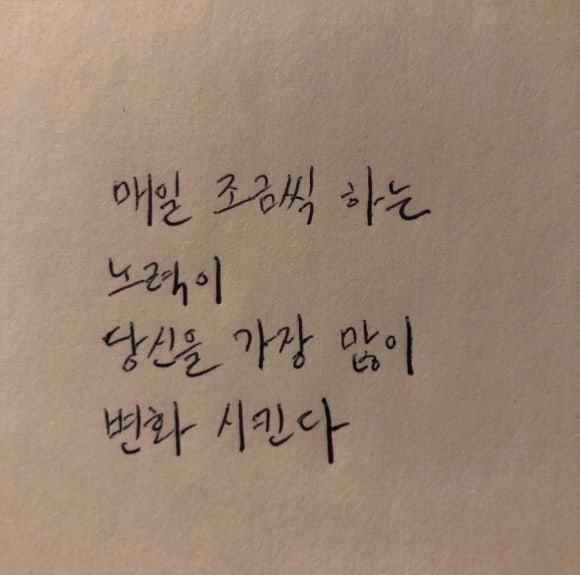 다죠아 이미지