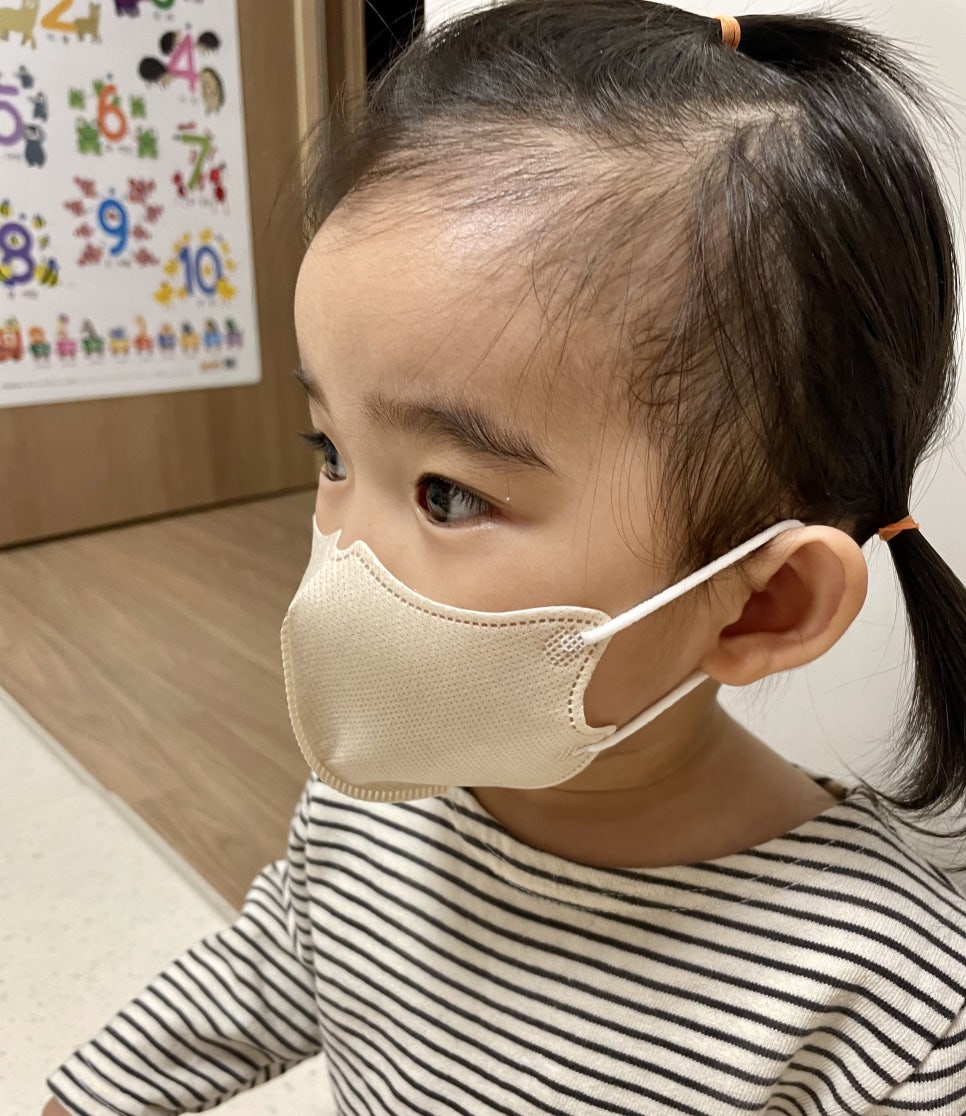 참이누리 이미지
