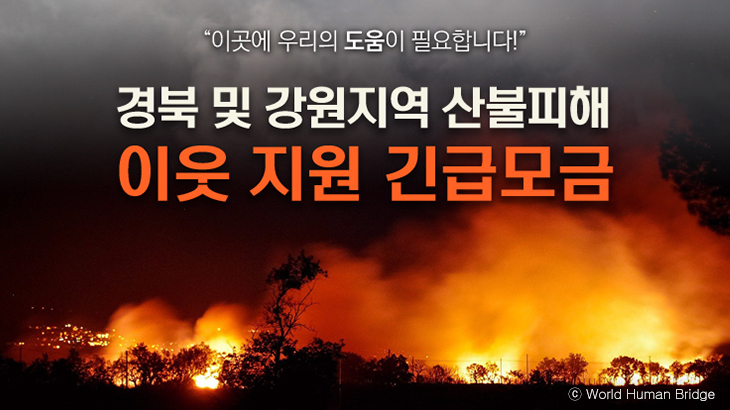 브리지소사이어티 이미지