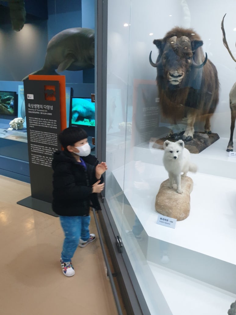 그리마미술학원 이미지